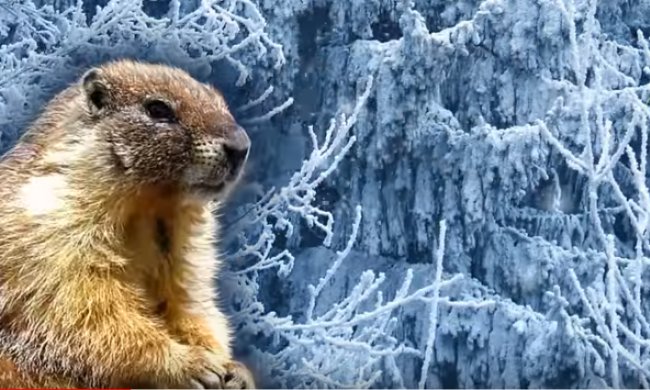 Праздники на 2 февраля 2020 года