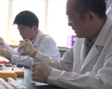 В Китае паника: лечить больных некому, тысячи врачей подхватили коронавирус