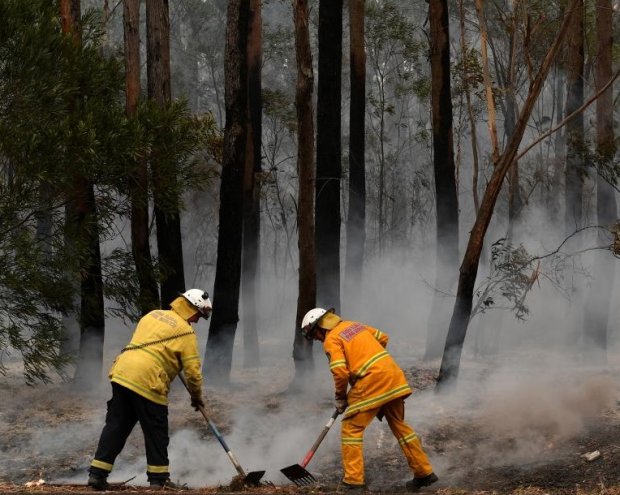 Пожары в Австралии, фото - Reuters