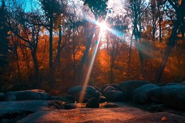 Природа. Фото: YouTube, скрін