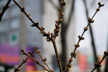 В Украине продлится теплая погода. Фото: gorod.cn.ua