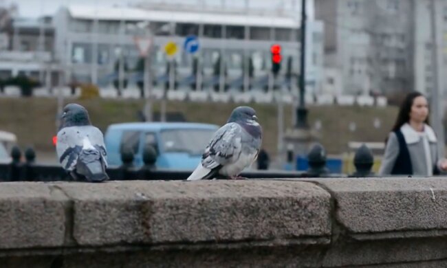 Будем мерзнуть: погода в Харькове на субботу, прогноз