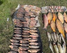 Вплоть до 15 июня рыбак запрещен: штрафы от 2686 грн за одну рыбу.