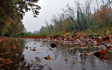 Погода в Украине. Фото: скриншот Youtube-видео