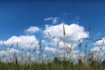 Погода. Фото: YouTube, скрін