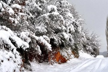 снегопад, источник: телеканал Прямой