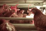 Источник: принскрин видео