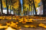 Погода на 28 октября 2019 года