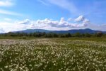 Природа. Фото: скриншот YouTube-видео