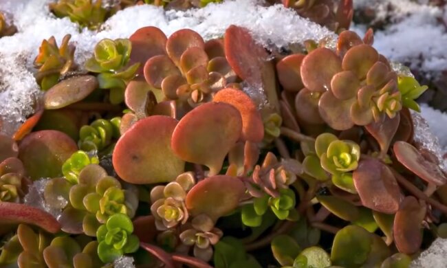 Погода в Украине. Фото: скриншот Youtube-видео