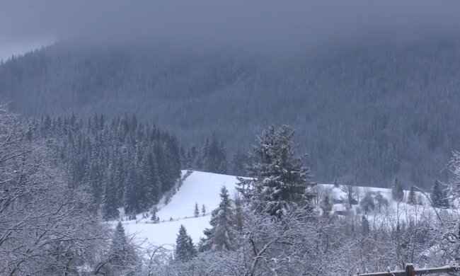 Снежная погода. Фото: скриншот YouTube-видео