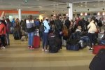 Украинские заробитчане отправились на сбор урожая в Финляндию. Фото: скриншот видео ТСН