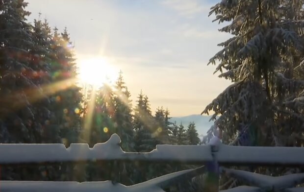 Солнечная погода. Фото: скриншот YouTube-видео