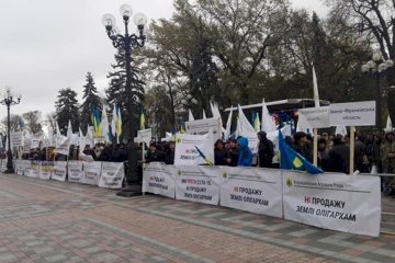 Под Верховной Радой появилась свиная туша