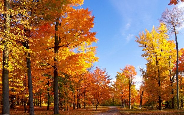 Погода 10 сентября 2019 года