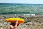 В сети смеются над "богом продаж", который продает кукурузу на пляже возле чьей-то попы. Видео