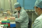 Украинские ученые создают тест на коронавирус