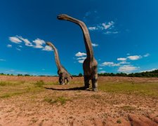 Ученые обнаружили в Якутии зубы древних динозавров — они были похожи на огромных ящеров
