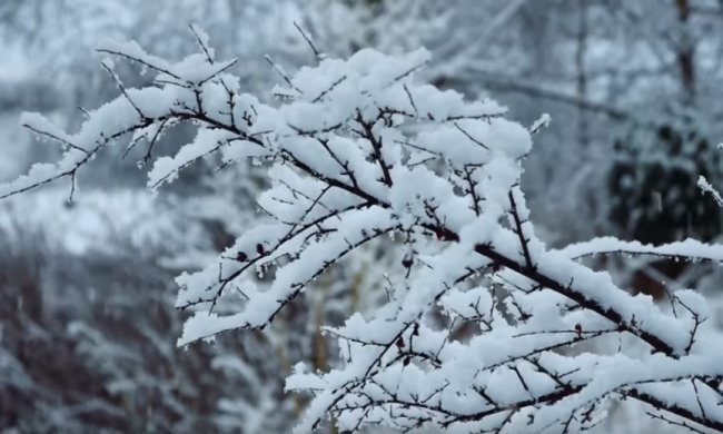 Погода на 7 января 2020 года