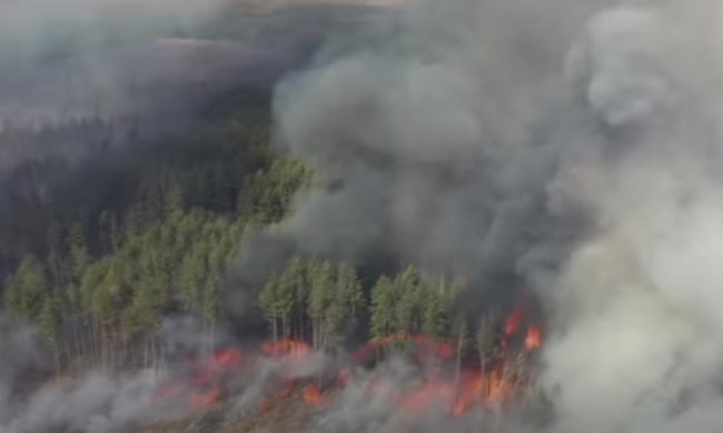 ГСЧС не проводит сбор средств. Фото: скрин youtube