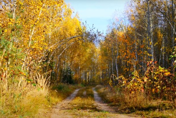 Осінь. Фото: скріншот YouTube-відео