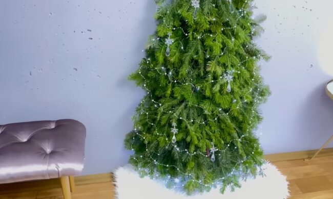 Елка. Фото: YouTube