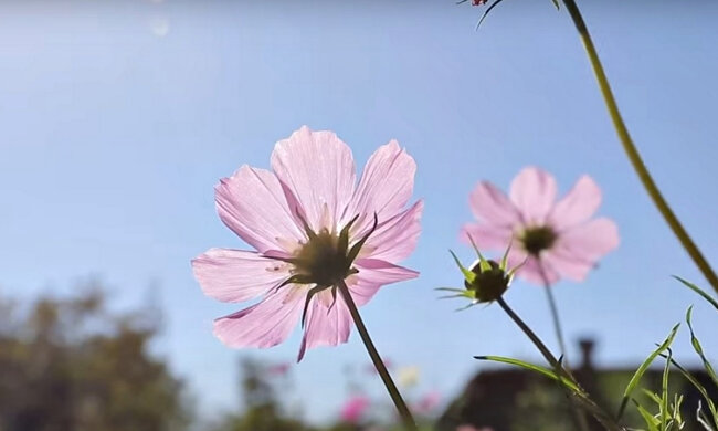 Погода в Украине. Фото: скриншот YouTube-видео.