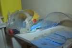 Средства защиты и тесты из Китая. Фото: скриншот YouTube