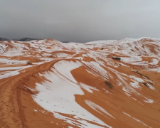 Сахару засипало снігом і вдарили морози: Telegram