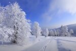 Зима. Фото: скріншот Youtube-відео