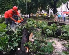 Деревья ломало, как спички, затопленные улицы,  задержка поездов: в Украине стихия натворила бед, фото