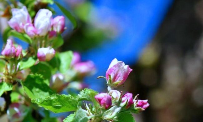 Погода в Украине. Фото: Подробности