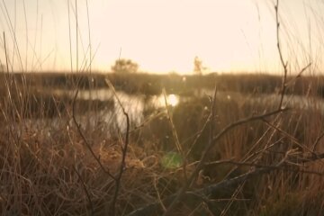 Природа. Фото: скріншот YouTube-відео