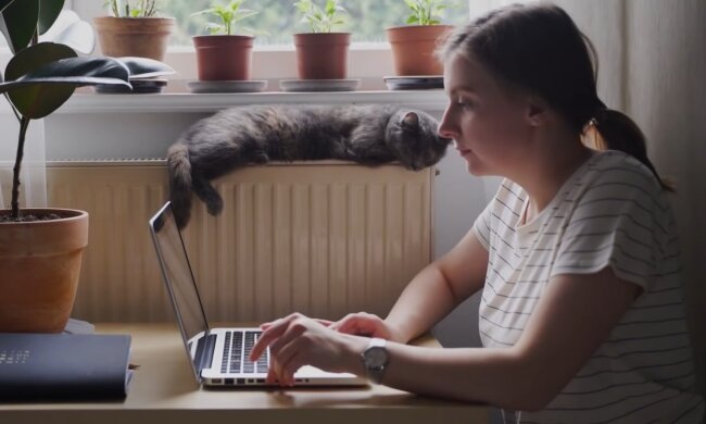 Работа за компьютером.  Фото: скриншот YouTube-видео