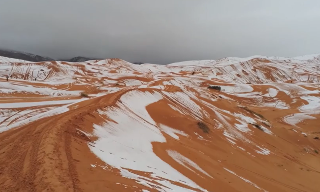 Сахару засипало снігом і вдарили морози: Telegram