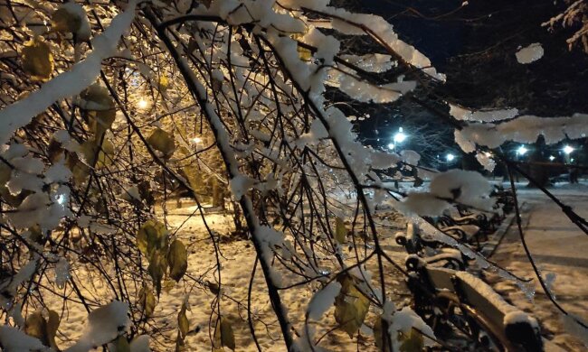 Ночной пейзаж. Фото: Ukrainianwall