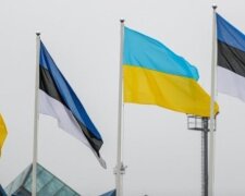 Естонія продовжить відбудовувати Житомирщину, – нардеп Пушкаренко