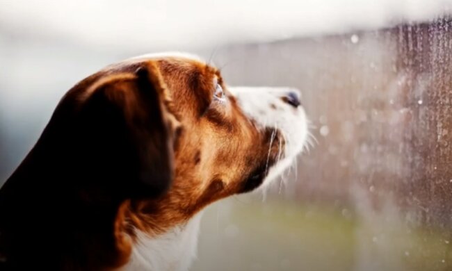 Погода на 14 июня 2020 года