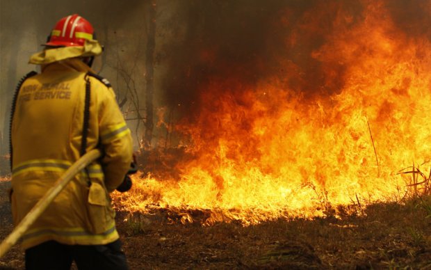 Пожар в Австралии, фото: npr.org
