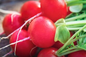 Редис. Фото: скриншот Youtube-видео