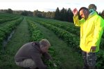 В Финляндии испытывают брак рабочей силы. Фото: youtube