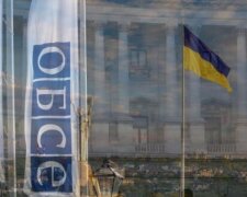 Нещодавнє засідання ОБСЄ – ще один крок рф до повного фіаско на міжнародній арені, — нардеп Пушкаренко