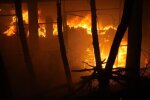 Взрывы в Запорожье, МВФ одобрил выделение транша - что случилось в Украине в ночь на 1 июля