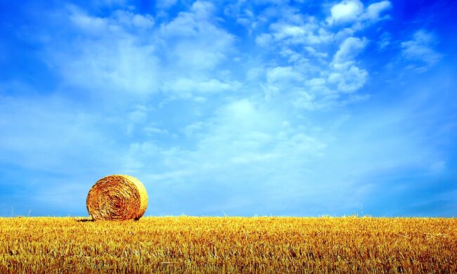 Жаркая погода. Фото: Youtube