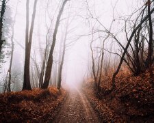 Мороз -2, дощ, а потім +17: синоптики попередили, Україною мчить сильний погодний фронт