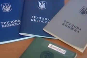 Что делать при потере Трудовой книжки. Фото: YouTube, скрин