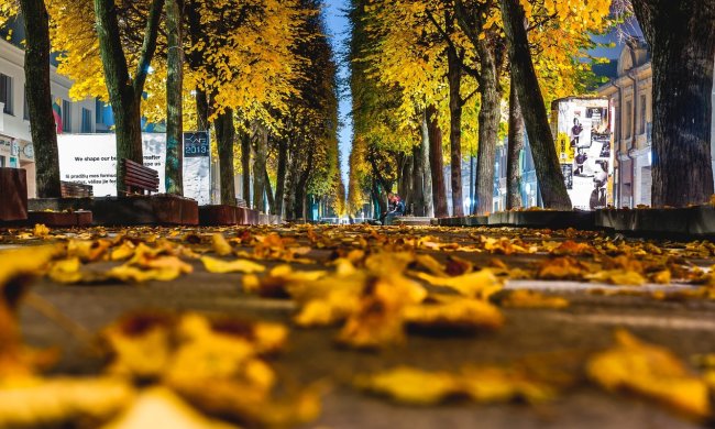 Погода на 28 октября 2019 года