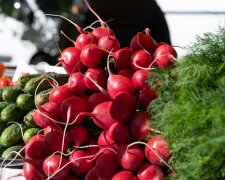 Продуктовые ярмарки в столице. Фото: Telegram