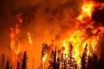 Только что стало известно, что горит Чернобыльский лес: до зоны отчуждения осталось менее 50 километров