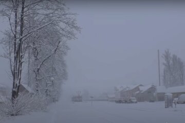 Снегопад. Фото: скриншот YouTube